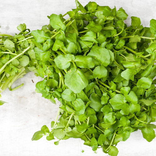 Watercress