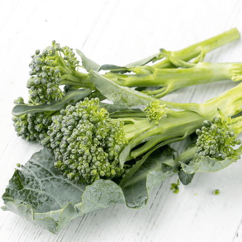 Broccolini