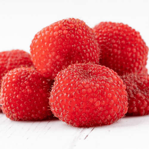 Fresh Raspberry - Conventional