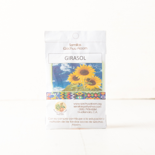 Semilla de Girasol