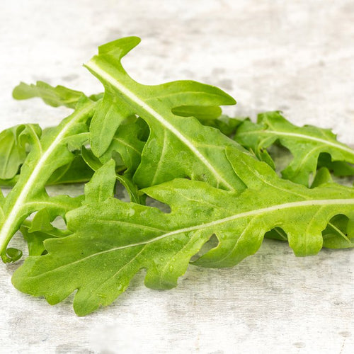 Arugula