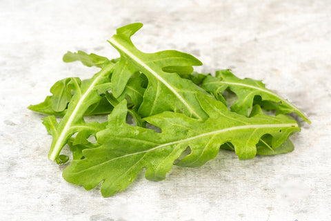 Rucola